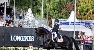 Ten for Kjento on his way to WBCYH 7yo title