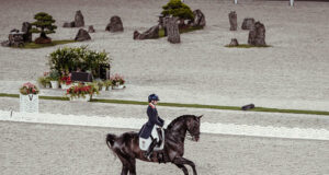 Everdale carries Fry to GP win in Ermelo