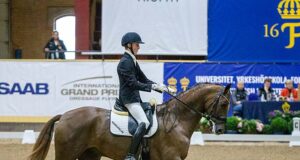 The mare is the main course, but the stallion brings spice