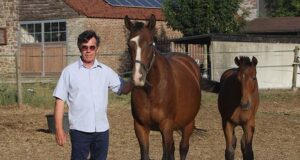 Three Z foals by breeder Jean Lefort in top five in Gesves