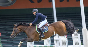 Creedance (Lord Z) wins ATCO Cup 1m50