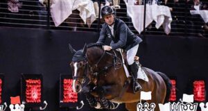 High quality and a new class at German Bundeschampionat