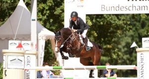 A stellar year for Holsteiner horses showered with medals