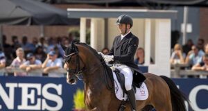 Danish dynamite: Hesselhøj Donkey Boy’s own stallion line