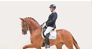 Oldenburg price highlights for top sporting stable