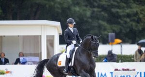 Who are the new ‘kids’ on the dressage breeding block?