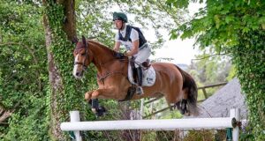 HSI preview and retrospective of Mondial du Lion 2022