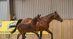 AES horses shine at 2022 British Breeding Futurity