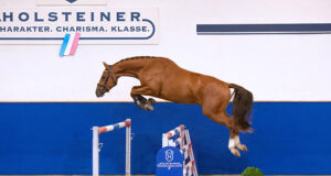 Holstein Autumn Event