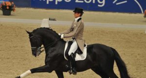 Gribaldi: One of the most influential dressage sires