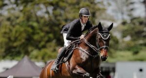 New stars on New Zealand’s sport horse horizon