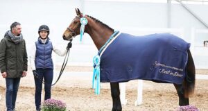 Estonian breeders and riders working successfully together