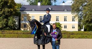 SWB Equestrian Weeks celebrate Swedish breeding
