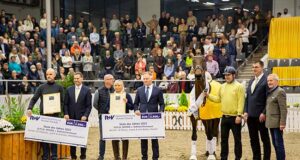 Hanoverian Mare of the Year, and dressage stallion licensing