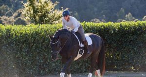 RIP Swarovski: Renai Hart and NZ lose magnificent sire