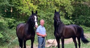 Less is more for Karen Nijvelt and Twan van Woensel