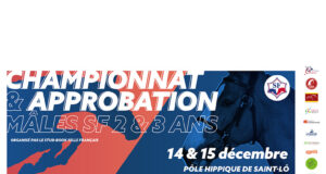 December 14-15: Selle Français young stallion licensing