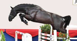 Oldenburg Auction Festival celebrates with Big Bang!
