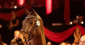 Chyazint: A passionate story behind $4m PSI mare