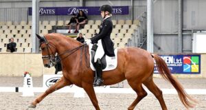 Hanoverians dominate NZ dressage championships