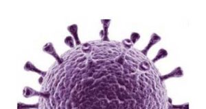 Two ‘spike viruses’: EVA and Coronavirus