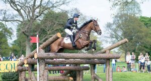 Breeding the dream: Molloy’s Monbeg By Design