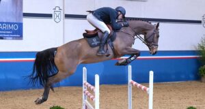 ‘Winter Chance’ clients acquire Kalima for €86,000