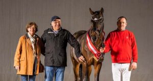 Sensational price of €1.2m for champion dressage stallion