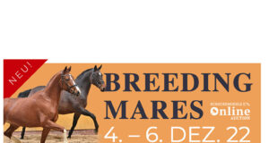 Schockemöhle online broodmare auction this weekend…
