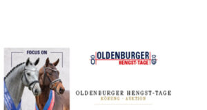 Oldenburg stallion prospects online now!