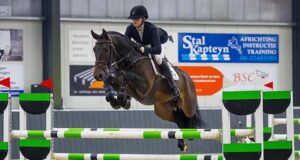 Exciting sport guaranteed for KWPN stallion finals