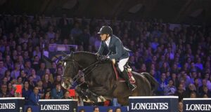 SF champions are born at Haras des Forêts