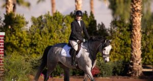 Canadian Warmblood breeders ‘going south’ for the winter