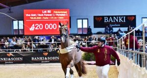 DSP Stallion Days: Spot on for Colorit and Nombrado