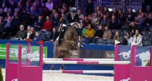 Using young stallions: Is this a new trend for KWPN?