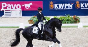 KWPN: Special mothers and world champions in Den Bosch