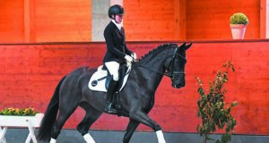 Technical issues delay January Hanoverian auction by one week
