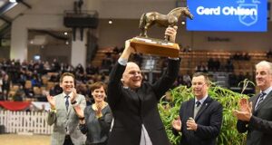 Holsteiner licensing crowns champion stallion Diamantado