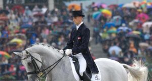 Andreas Helstrand: Finding the next generation of stallions