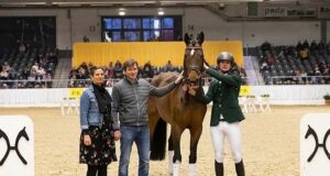 Weltmeyer and Stakkato prizes awarded, plus new stallions