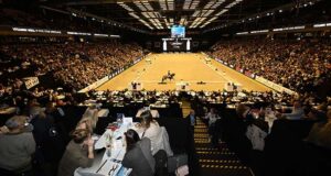 Danish Warmblood stallion licensing lights up Herning