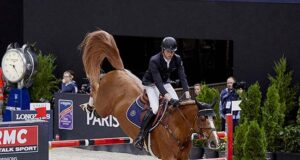 SBS approves 15 new sires during International Show
