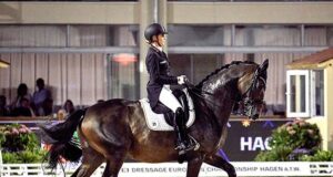 The WBFSH stallion rankings re-considered