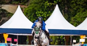 Brazil values the breeding and training of young horses