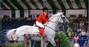 “The horses I liked were too expensive, so I began to breed”