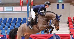 International Oldenburger Auctionfest sees shining result