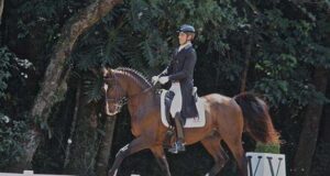 Brazilian Sport Horses prepare for Pan-Am dressage qualifiers