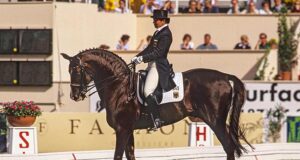 Donnerhall: The towering modern dressage colussus