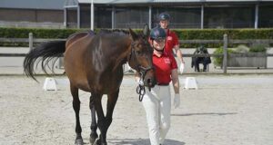 Portrait of a DWB young breeder: What are they about?