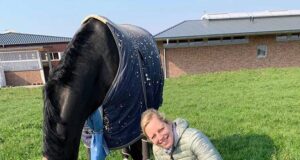 Arns-Krogman’s absolute trust in Weihegold bloodline